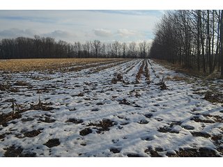 Property photo 35 - FARMLAND AUCTION, 60+/- Acres in 6 Tracts ranging from 4 to 20 acres & in combinations!